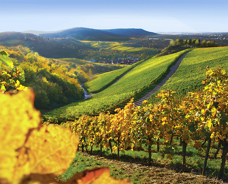 Rhine Valley: The Land of Legends