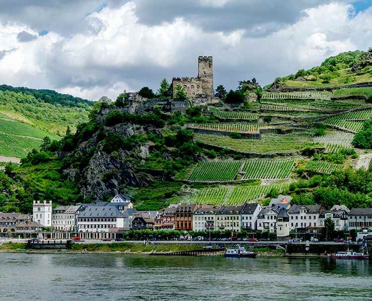 Captivating Rhine 