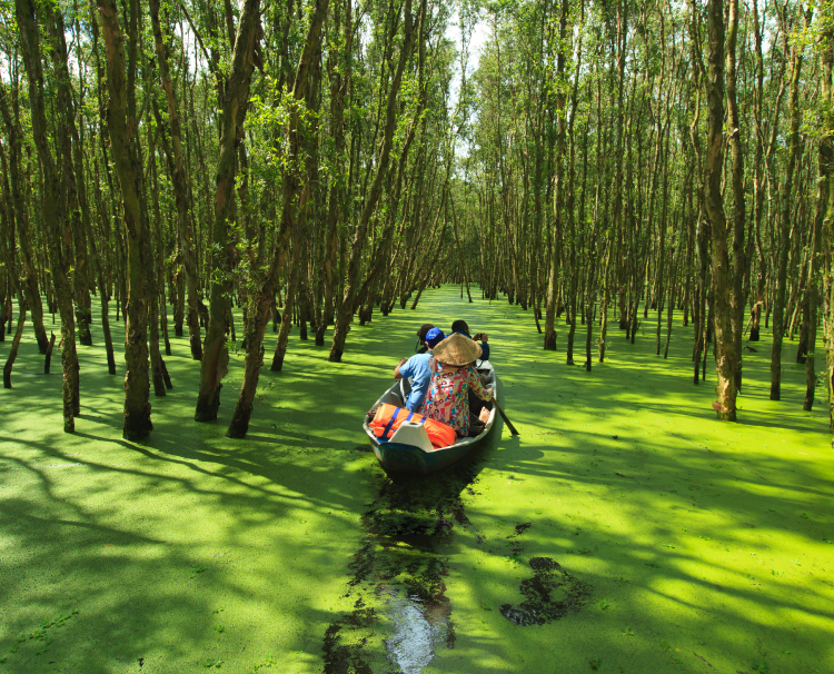 Tra Su National Forest 
